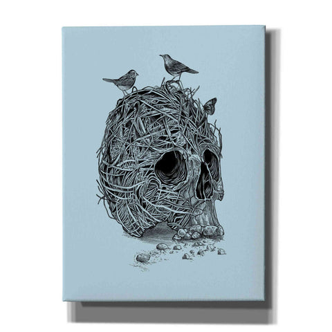 Image of 'Skull Nest' by Rachel Caldwell, Canvas Wall Art