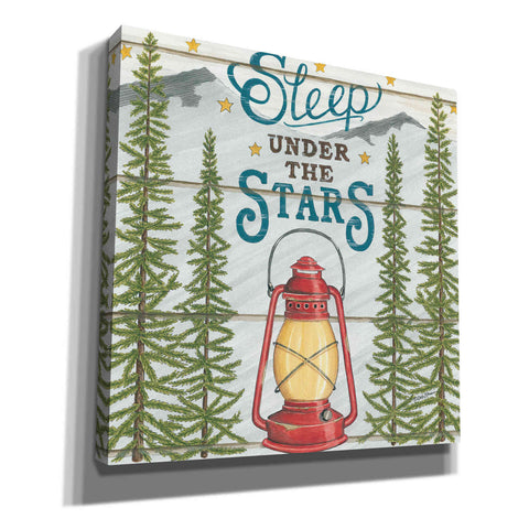 Image of 'Sleep Under the Stars' by Deb Strain, Canvas Wall Art