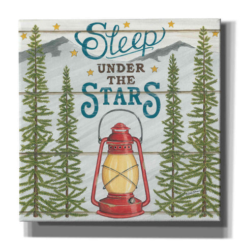 Image of 'Sleep Under the Stars' by Deb Strain, Canvas Wall Art