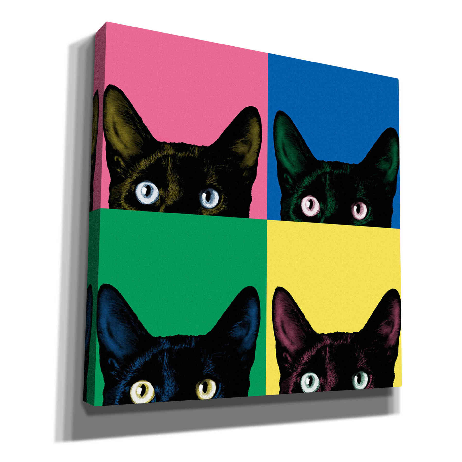 'Curiosity Pop' by Jon Bertelli, Canvas Wall Art