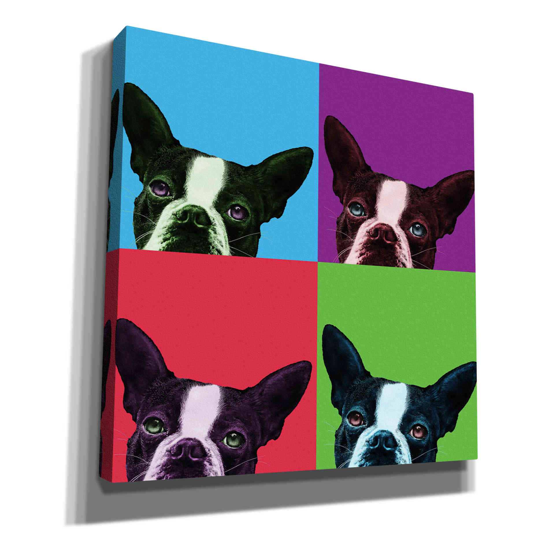 'Loyalty Pop' by Jon Bertelli, Canvas Wall Art
