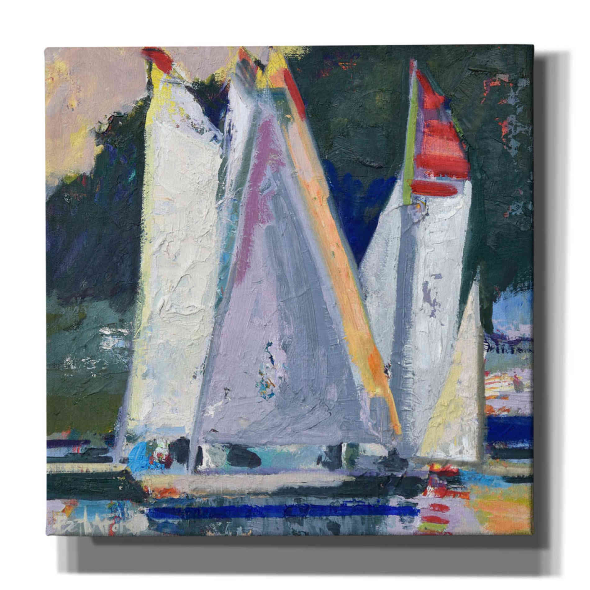 'Waiting For Wind' by Beth Forst, Canvas Wall Art
