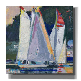 'Waiting For Wind' by Beth Forst, Canvas Wall Art