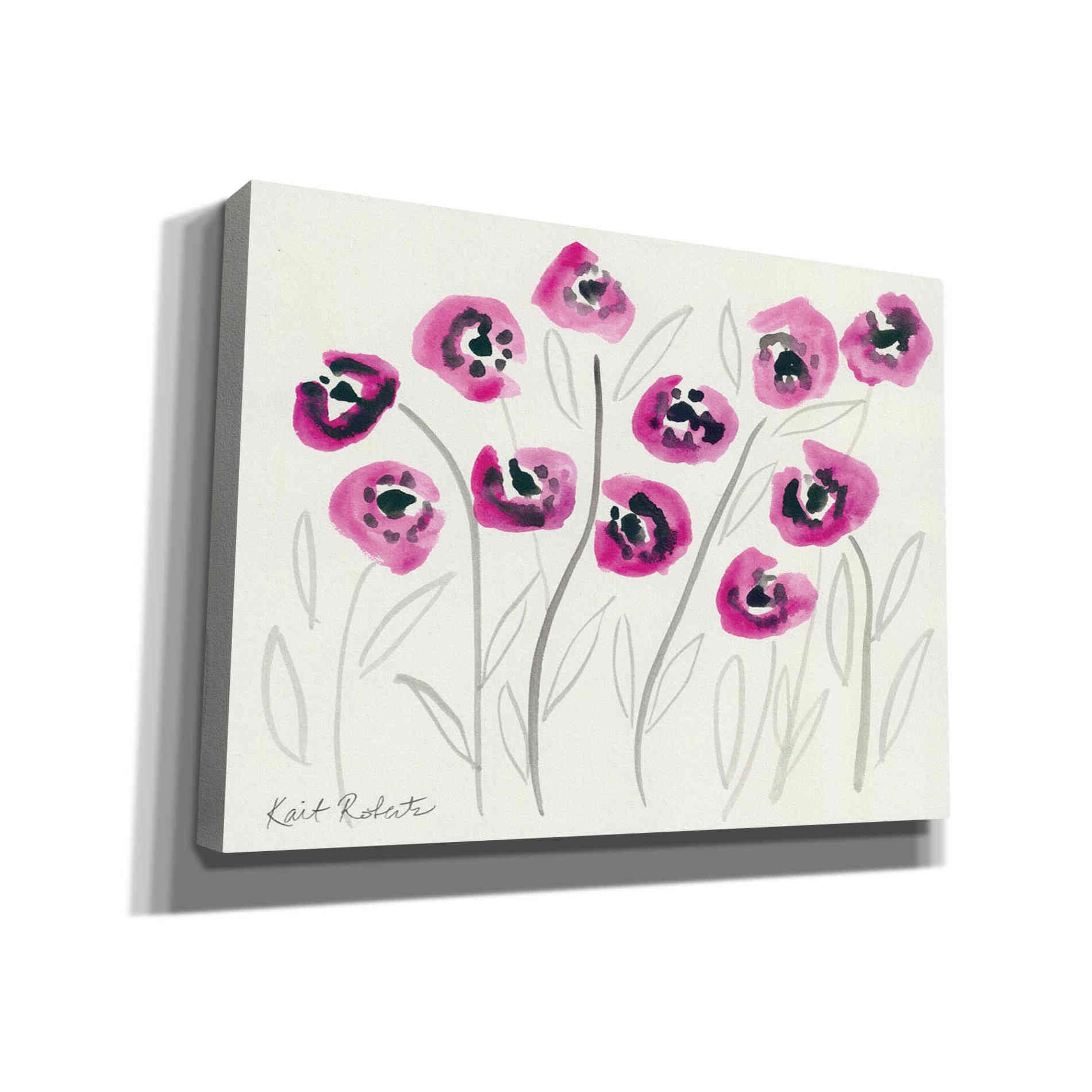'Secret Admirer' by Kait Roberts, Canvas Wall Art