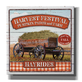 'Harvest Festival' by Mollie B, Canvas Wall Art