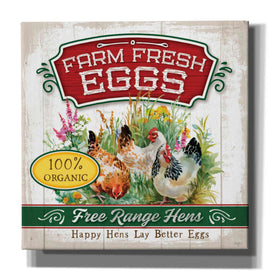 'Fresh Eggs' by Mollie B, Canvas Wall Art