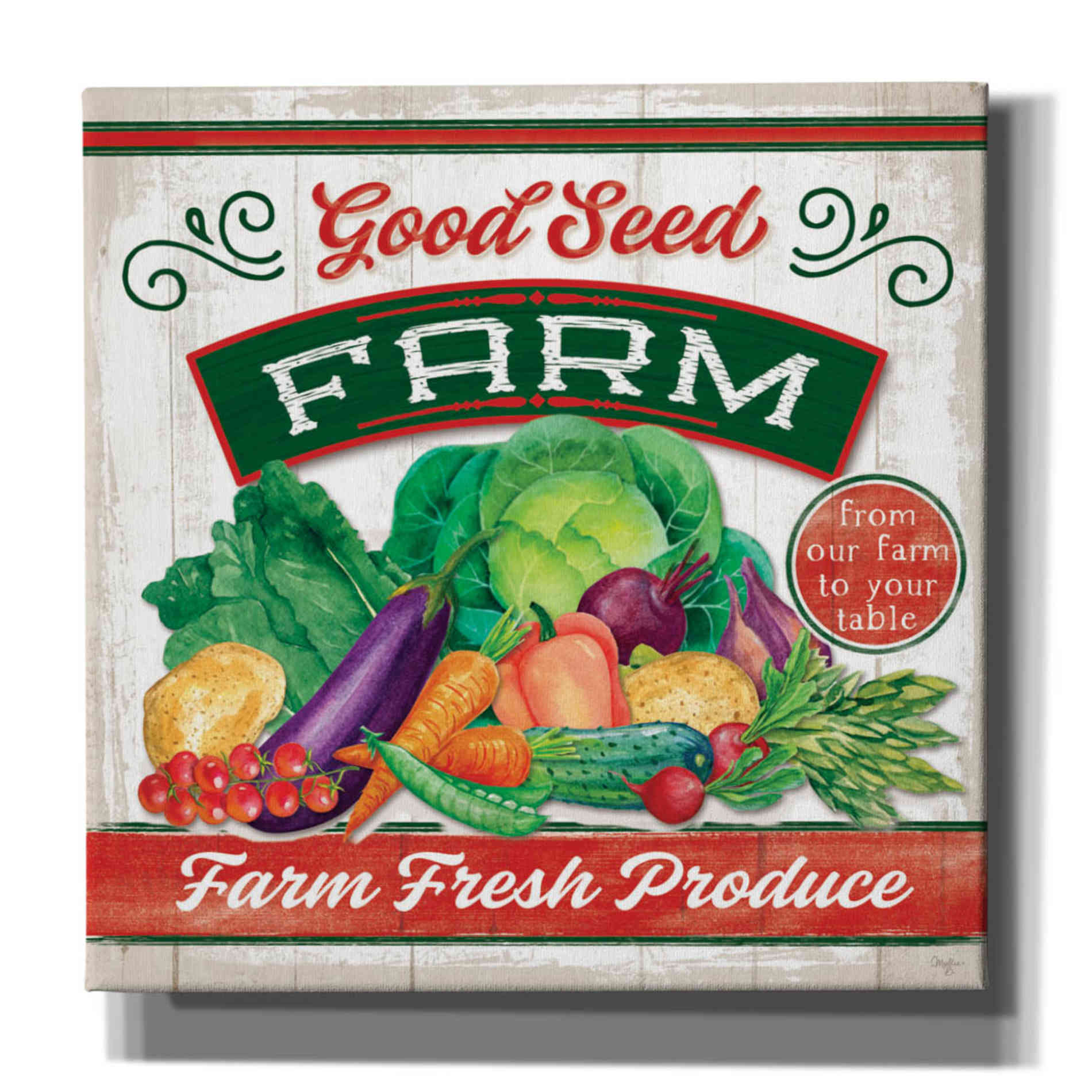 'Good Seed' by Mollie B, Canvas Wall Art