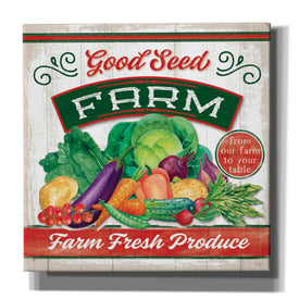 'Good Seed' by Mollie B, Canvas Wall Art