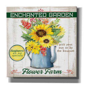 'Sunflower' by Mollie B, Canvas Wall Art