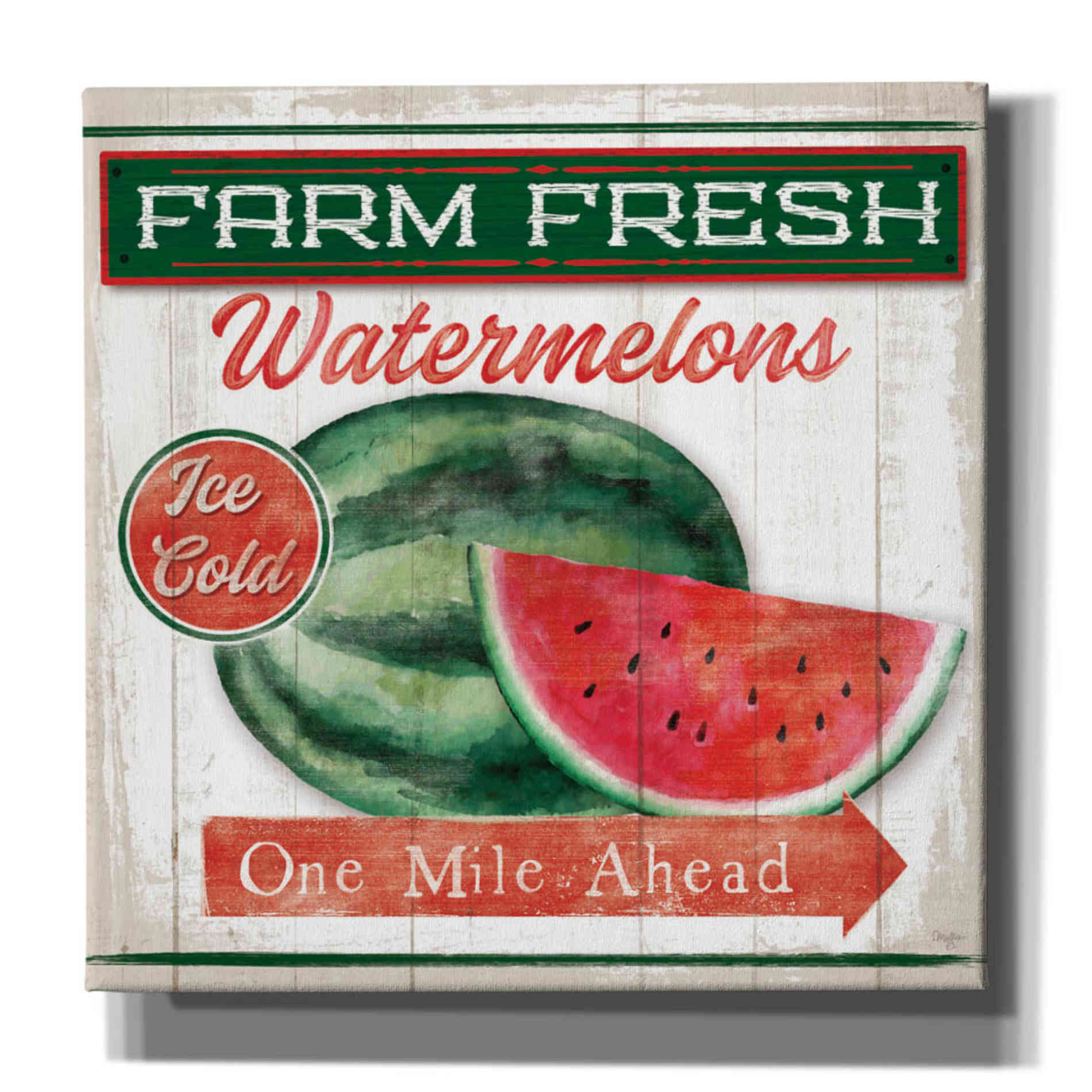 'Watermelon Farm' by Mollie B, Canvas Wall Art