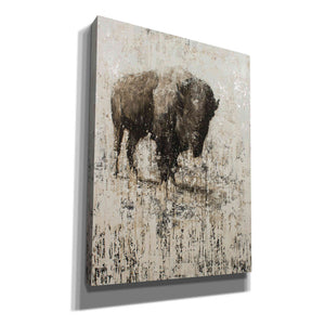 'Lone Buffalo' by Matt Flint, Canvas, Wall Art