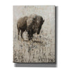 'Lone Buffalo' by Matt Flint, Canvas, Wall Art