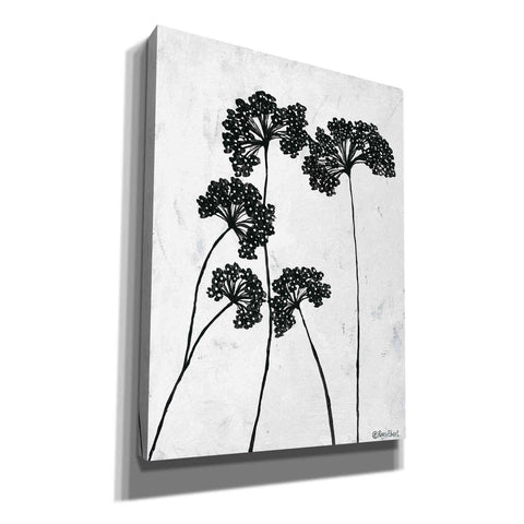 Image of 'Queen Anne's Lace I' by Roey Ebert, Canvas, Wall Art
