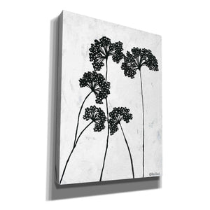 'Queen Anne's Lace I' by Roey Ebert, Canvas, Wall Art