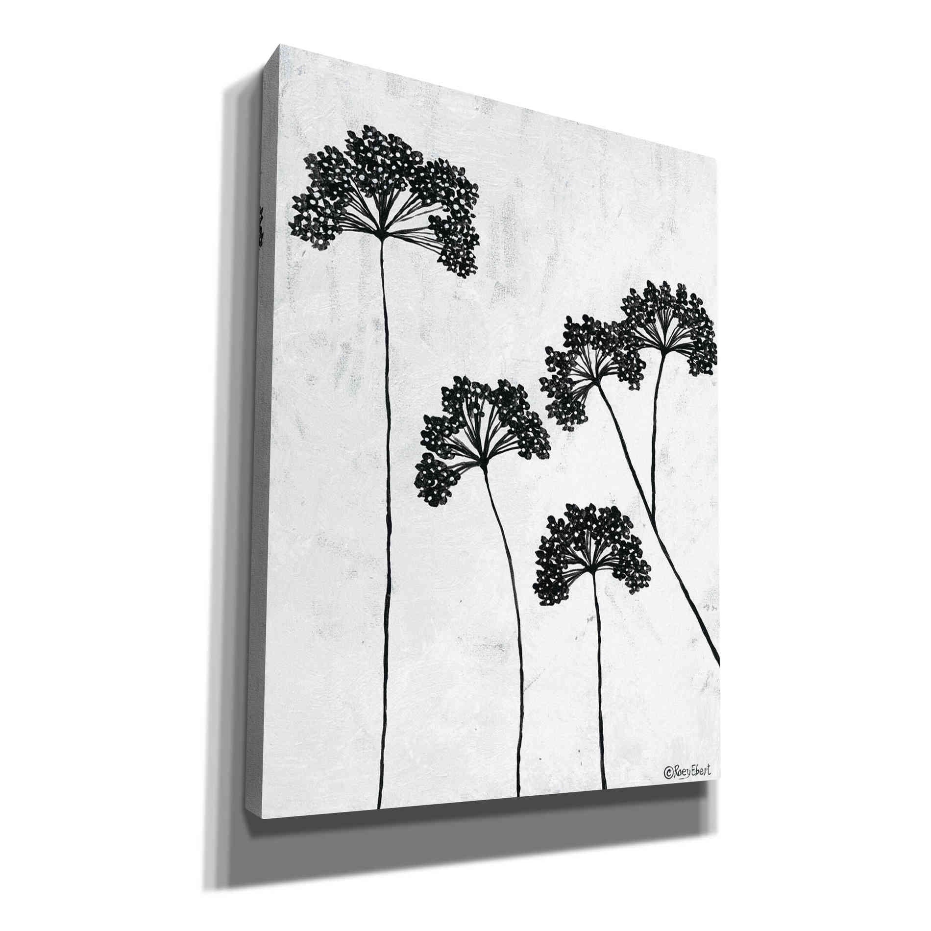 'Queen Anne's Lace II' by Roey Ebert, Canvas, Wall Art