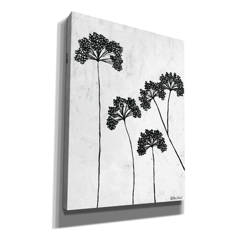 Image of 'Queen Anne's Lace II' by Roey Ebert, Canvas, Wall Art