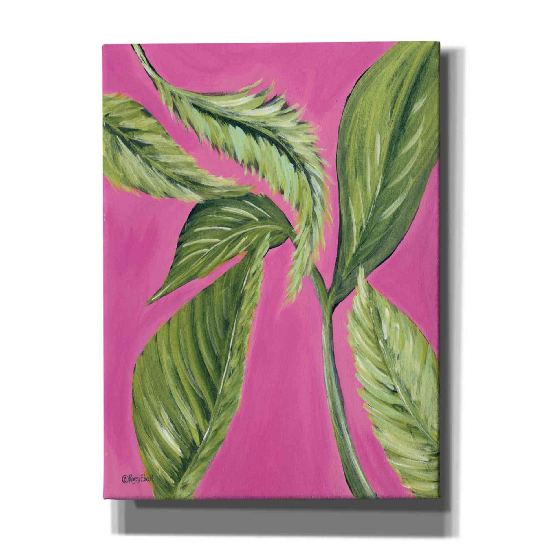 'Paradise' by Roey Ebert, Canvas, Wall Art