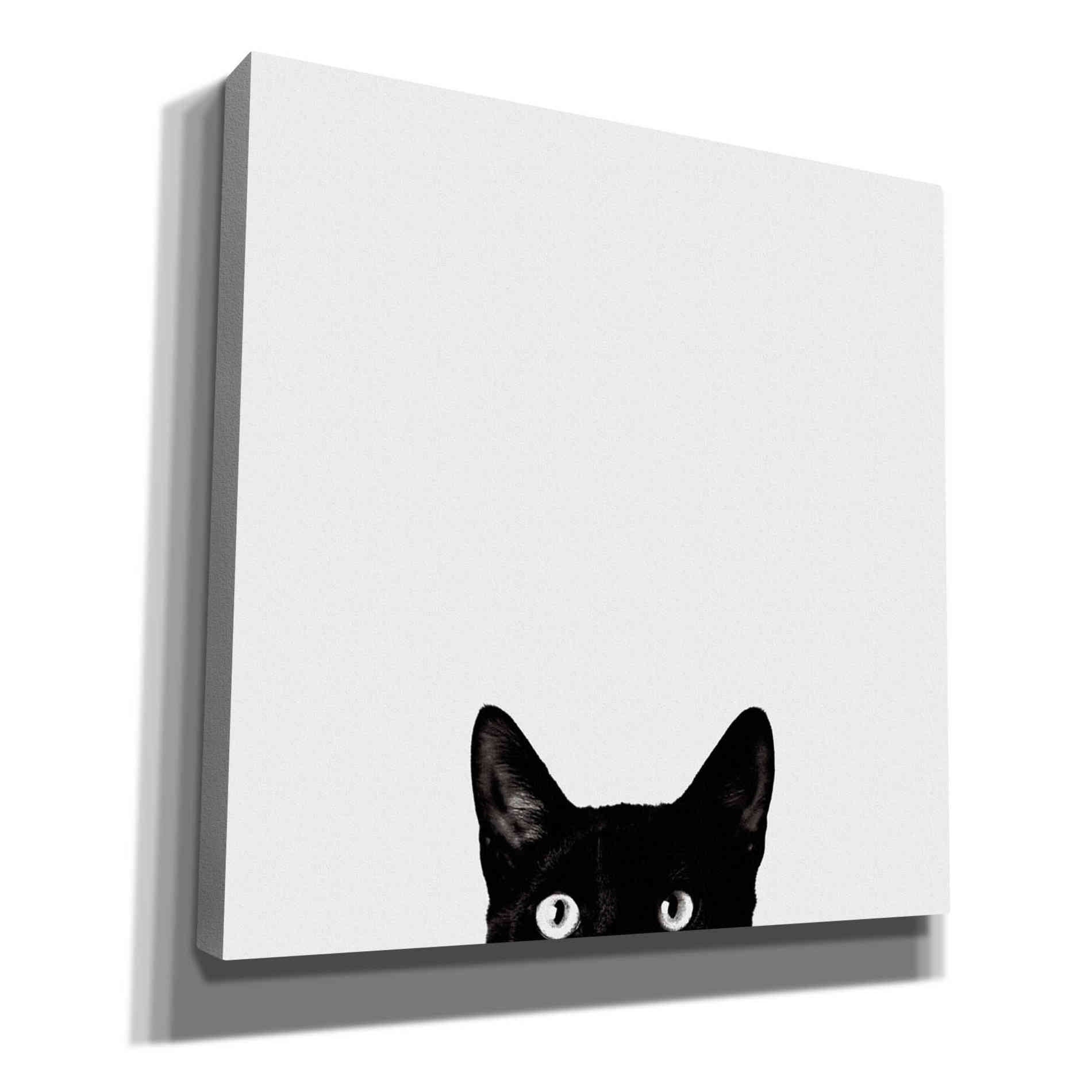 'Curiosity' by Jon Bertelli, Canvas Wall Art