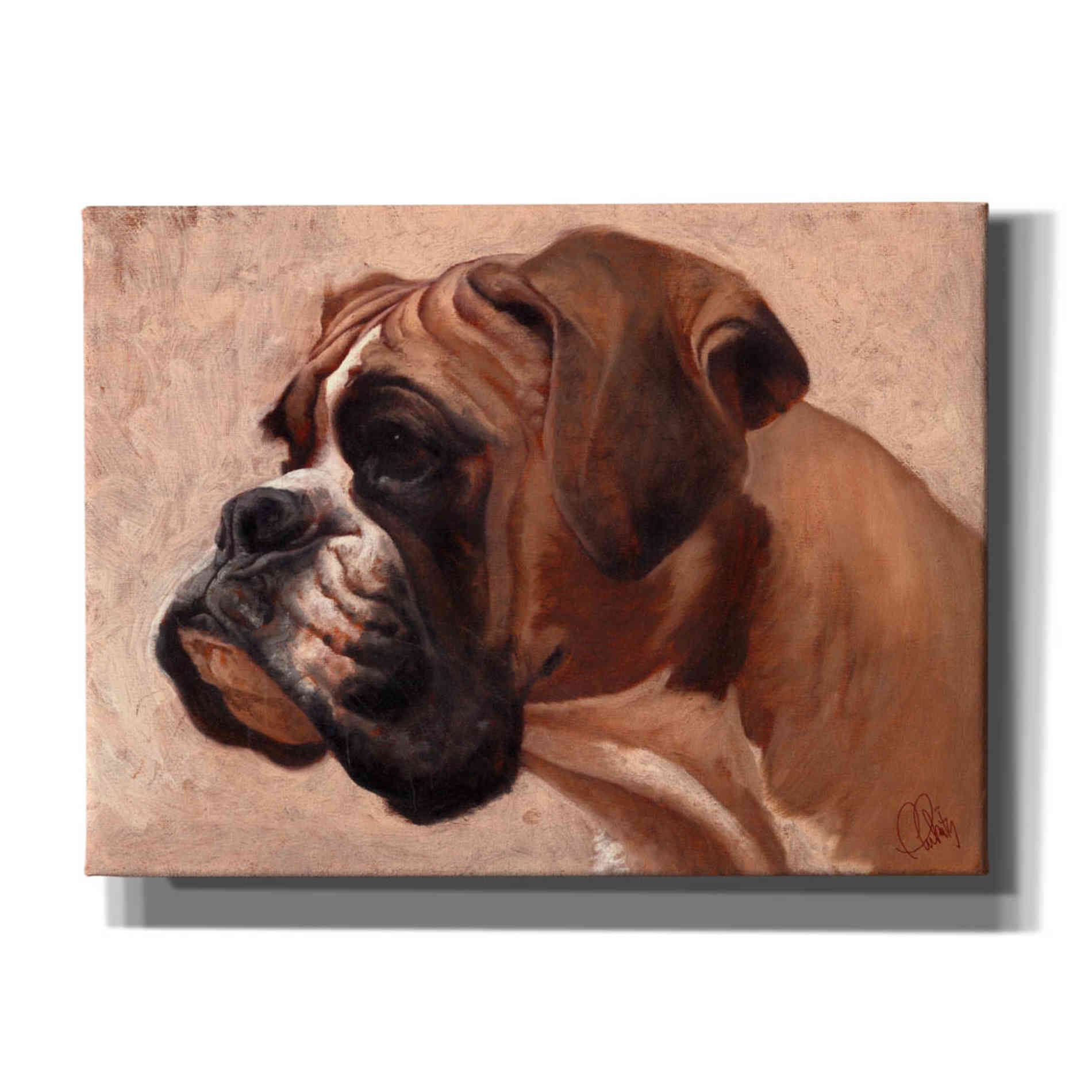 'Boxer' by Thomas Fluharty, Canvas Wall Art