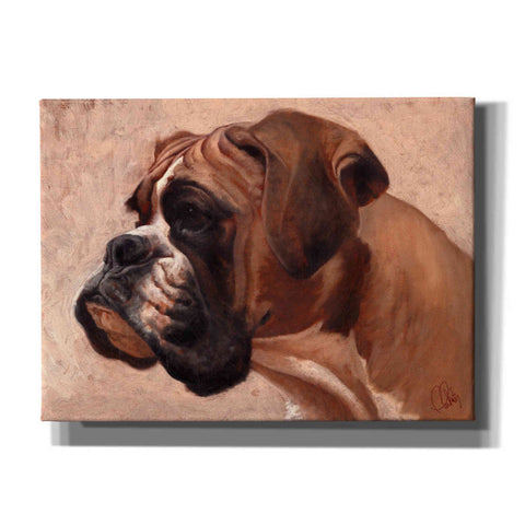 Image of 'Boxer' by Thomas Fluharty, Canvas Wall Art
