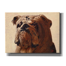 'Bulldog' by Thomas Fluharty, Canvas Wall Art