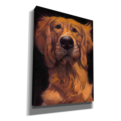 Image of 'Golden' by Thomas Fluharty, Canvas Wall Art