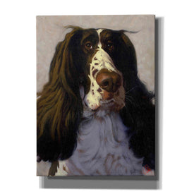 'Springer' by Thomas Fluharty, Canvas Wall Art