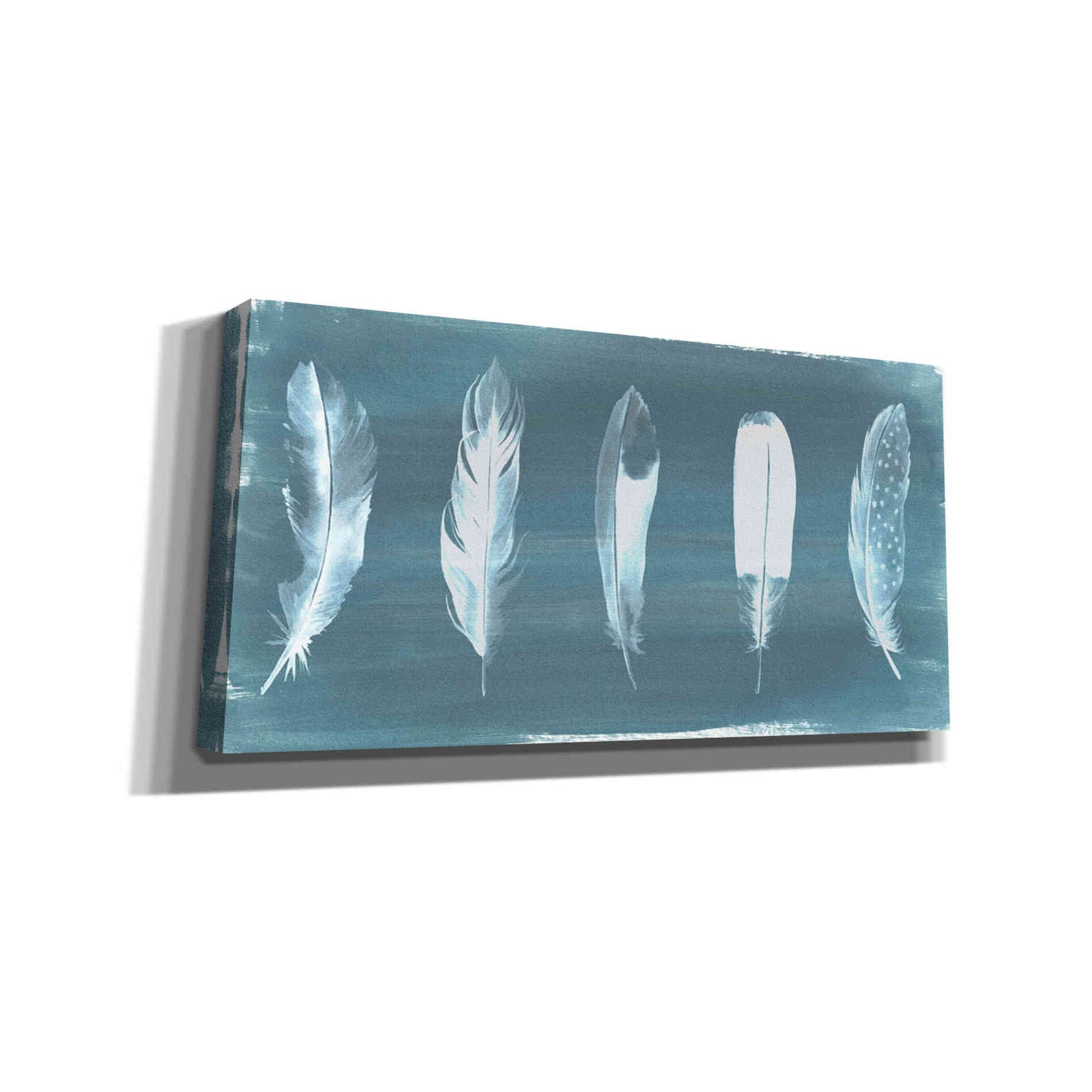 'Feathers on Dusty Teal' by Grace Popp, Canvas Wall Art