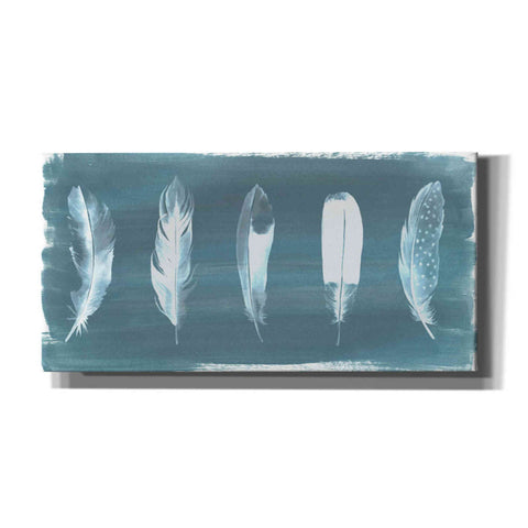 Image of 'Feathers on Dusty Teal' by Grace Popp, Canvas Wall Art