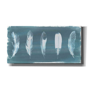 'Feathers on Dusty Teal' by Grace Popp, Canvas Wall Art