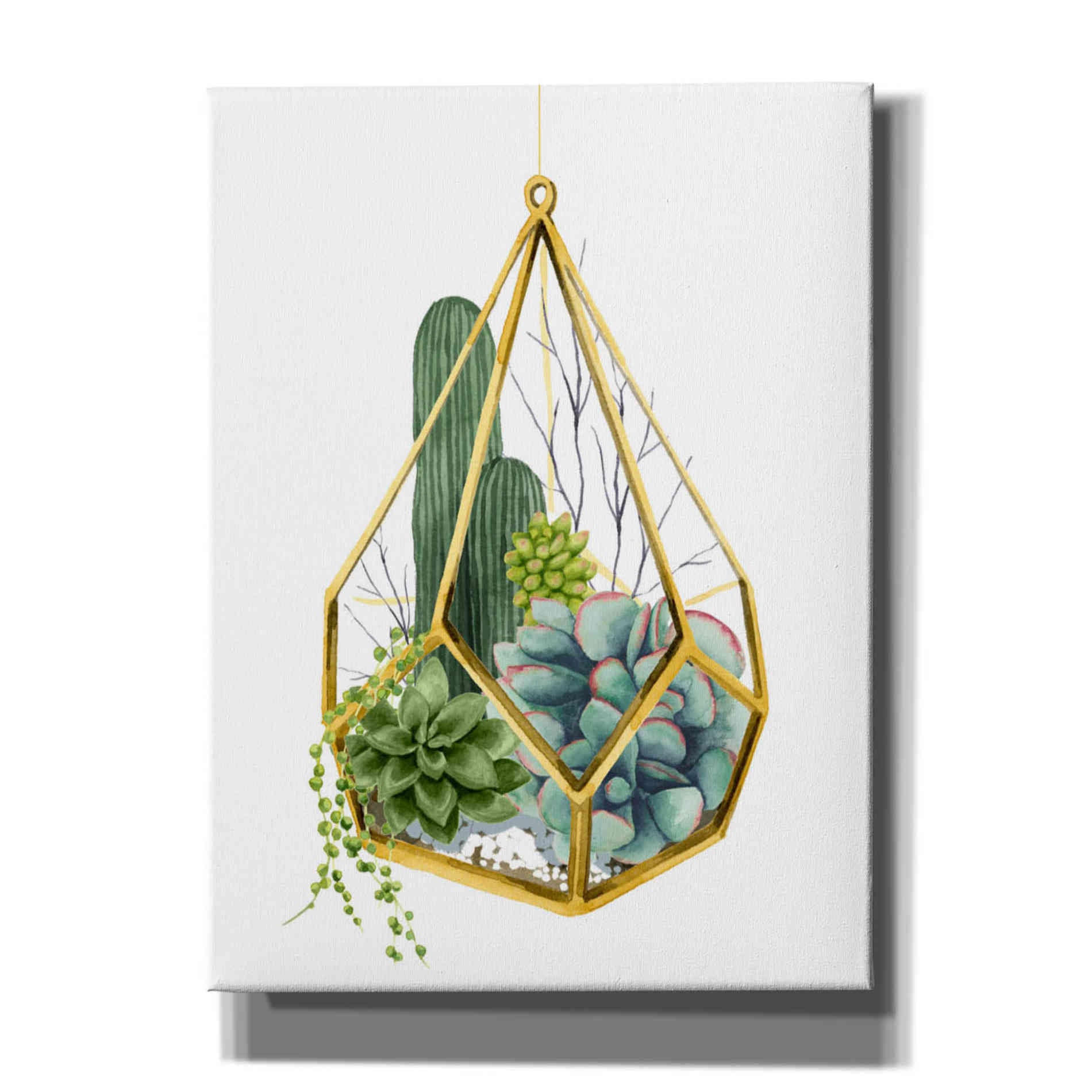 'Wild Terrarium IV' by Grace Popp, Canvas Wall Art