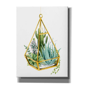 'Wild Terrarium III' by Grace Popp, Canvas Wall Art