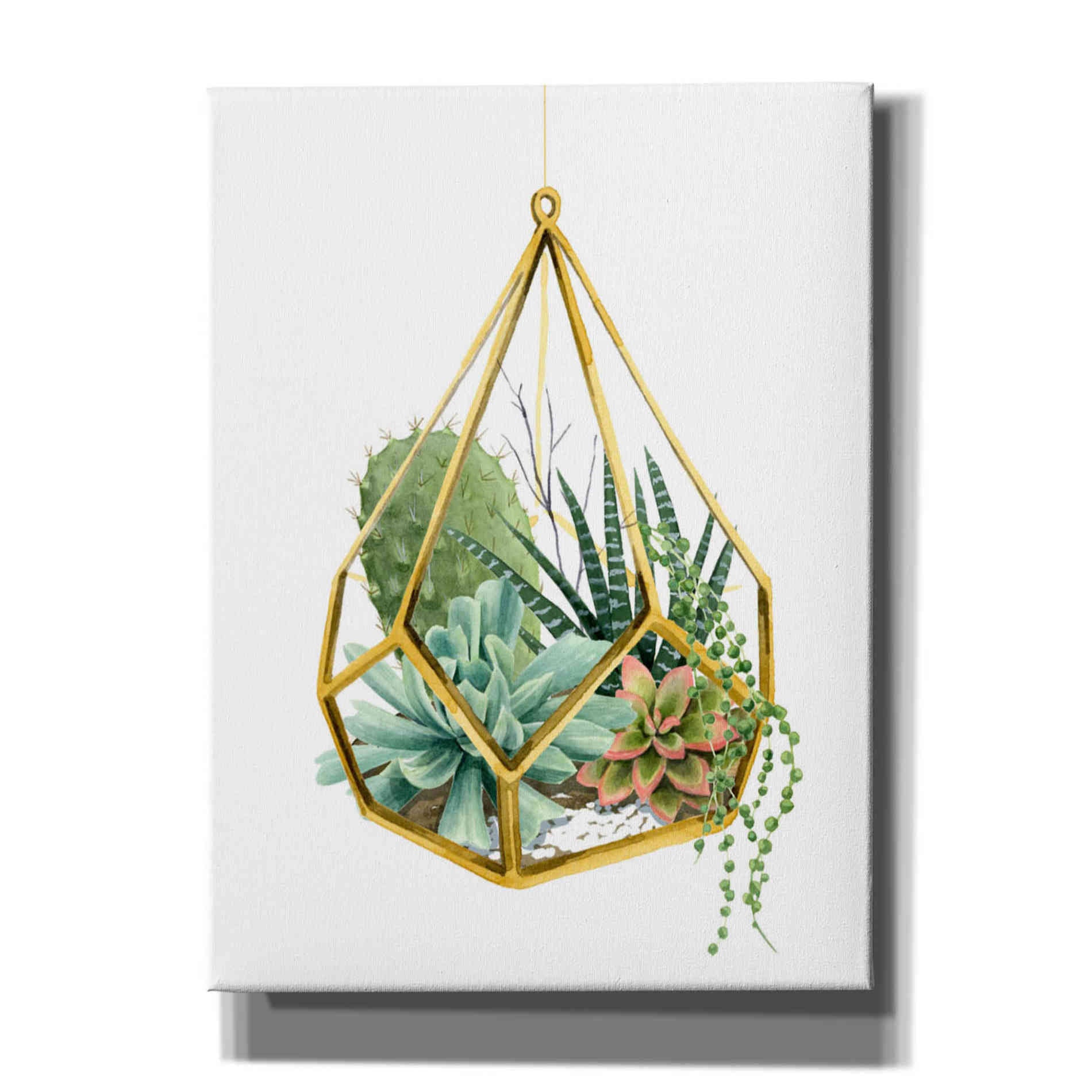 'Wild Terrarium II' by Grace Popp, Canvas Wall Art