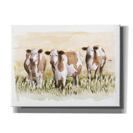 'Golden Graze II' by Grace Popp, Canvas Wall Art