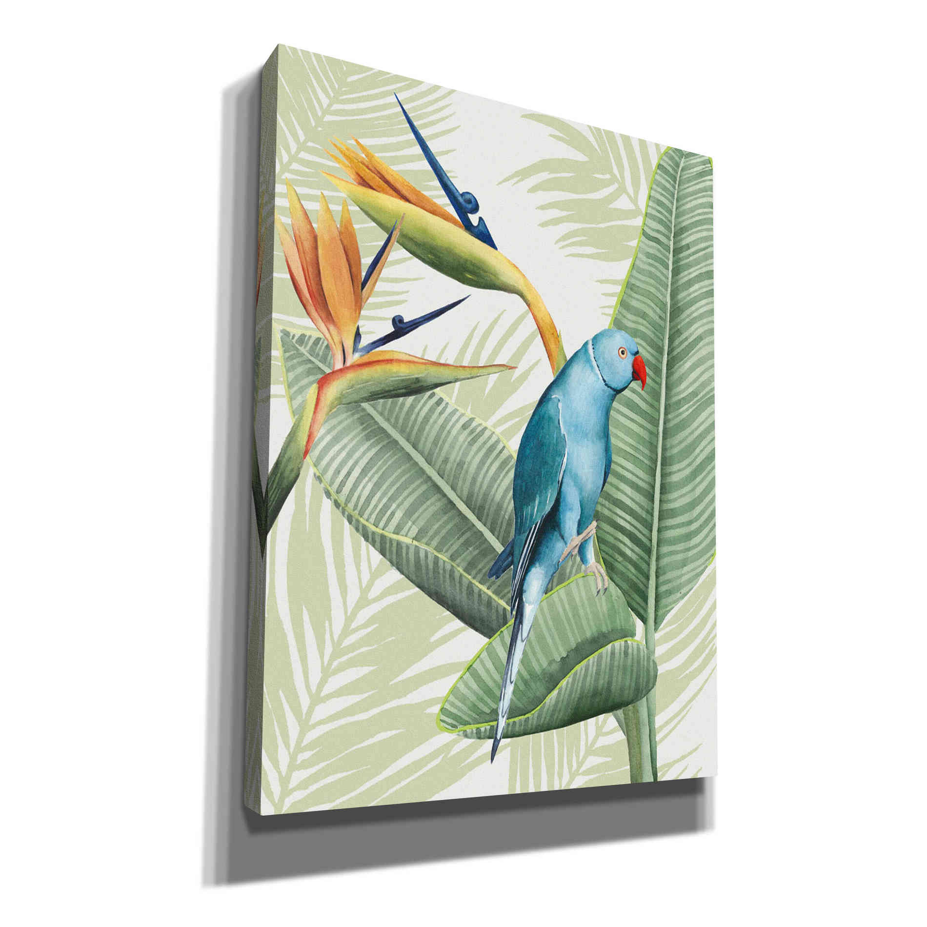 'Avian Paradise III' by Grace Popp, Canvas Wall Art