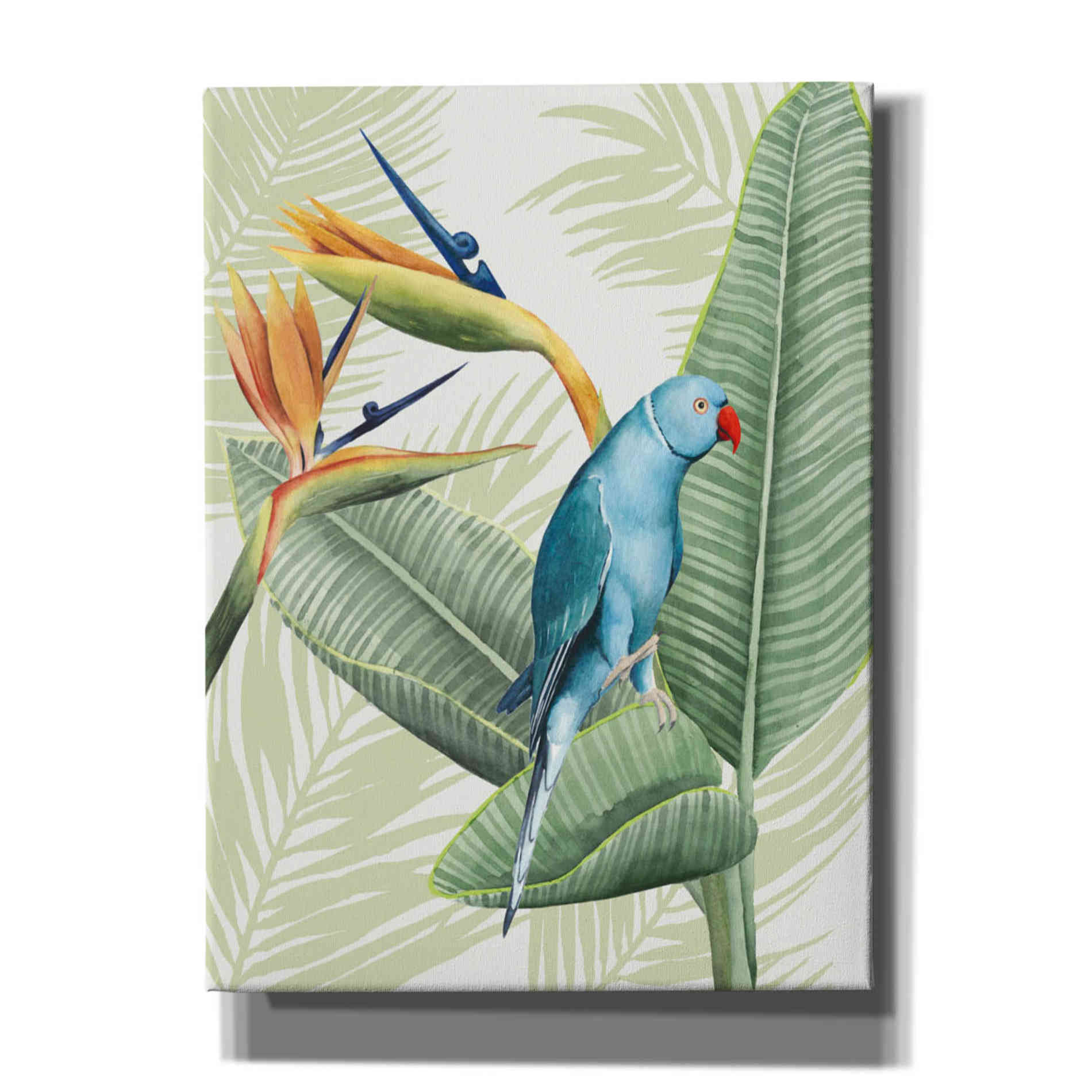 'Avian Paradise III' by Grace Popp, Canvas Wall Art