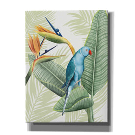 'Avian Paradise III' by Grace Popp, Canvas Wall Art