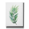 'Untethered Palm I' by Grace Popp, Canvas Wall Art