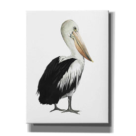 'Sea Bird IV' by Grace Popp, Canvas Wall Art