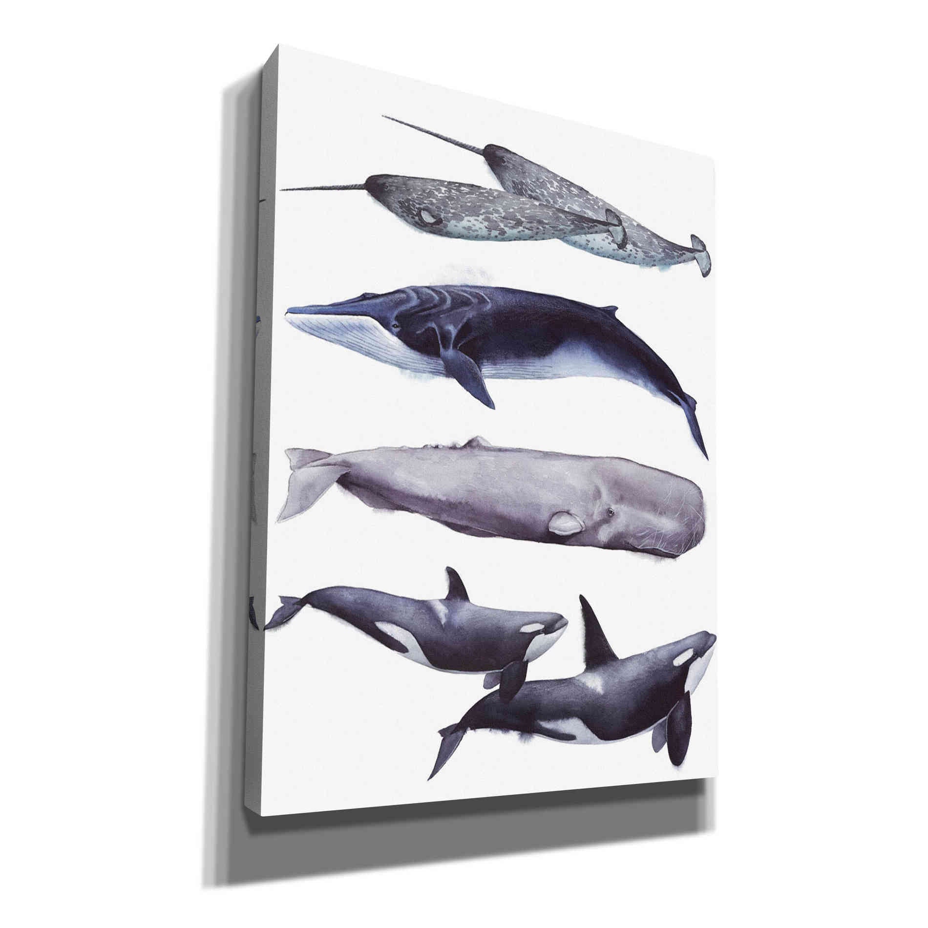'Whale Stack II' by Grace Popp, Canvas Wall Art
