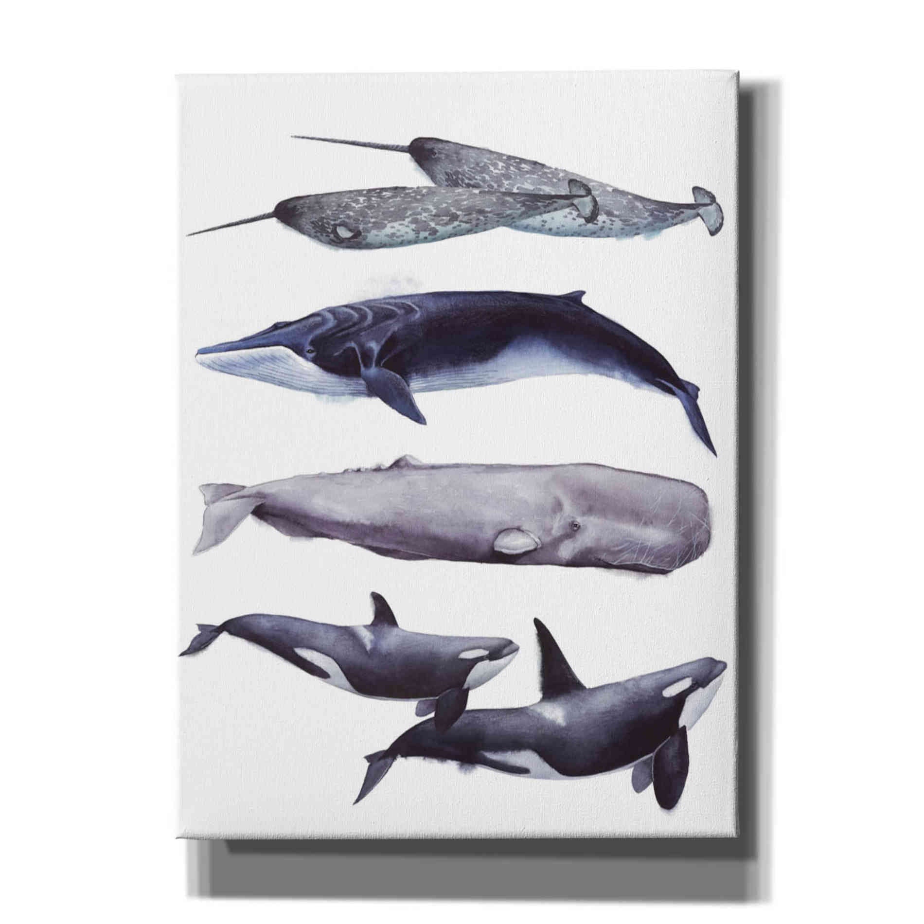 'Whale Stack II' by Grace Popp, Canvas Wall Art