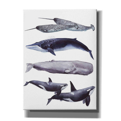 Image of 'Whale Stack II' by Grace Popp, Canvas Wall Art