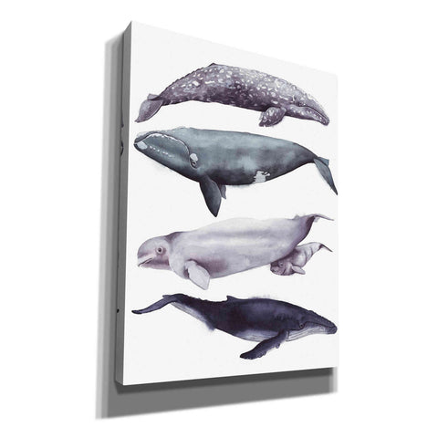 Image of 'Whale Stack I' by Grace Popp, Canvas Wall Art