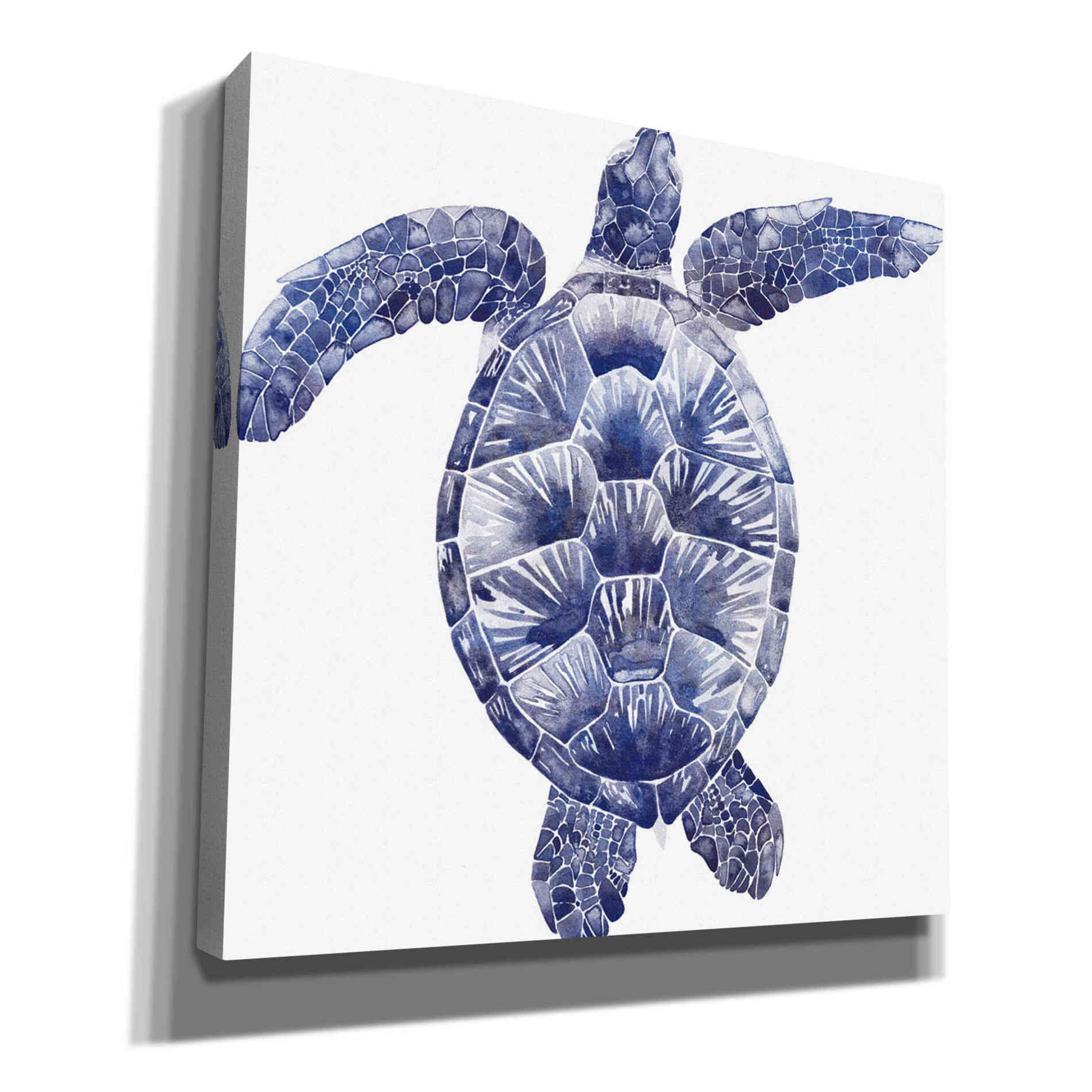 'Marine Turtle II' by Grace Popp, Canvas Wall Art