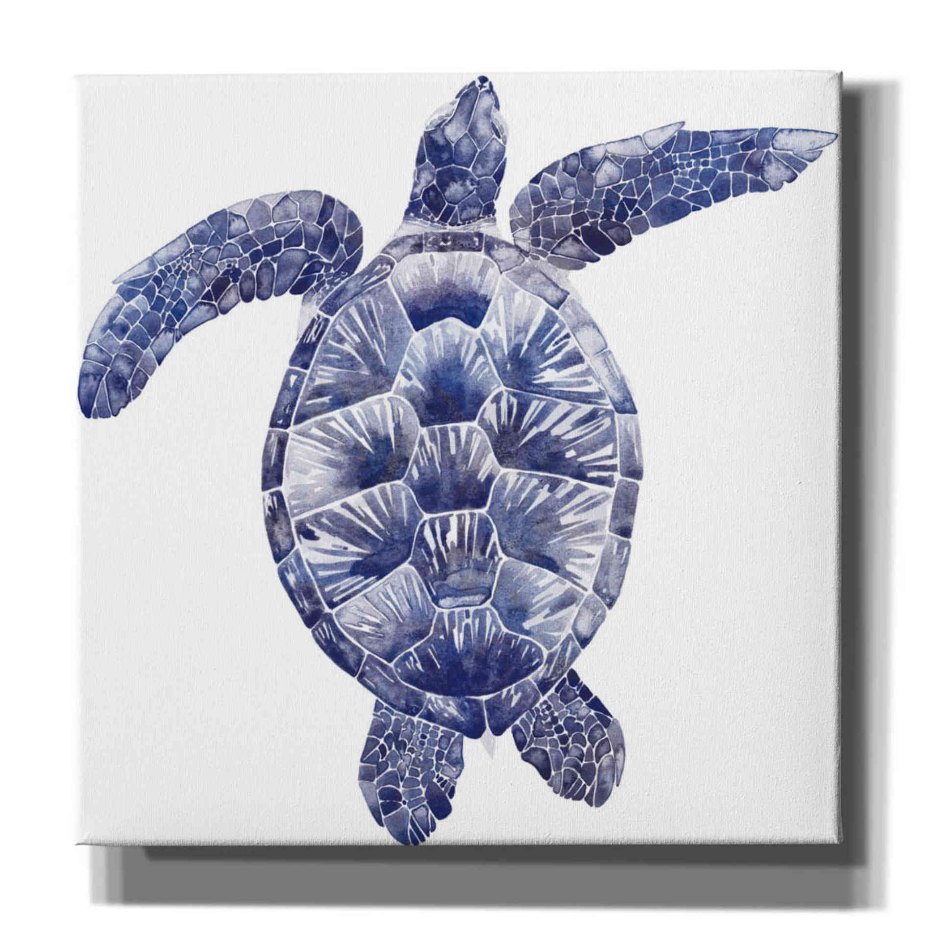 'Marine Turtle II' by Grace Popp, Canvas Wall Art