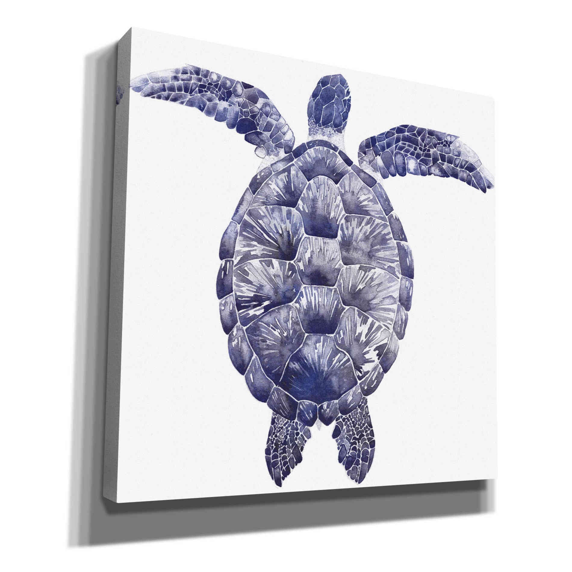 'Marine Turtle I' by Grace Popp, Canvas Wall Art