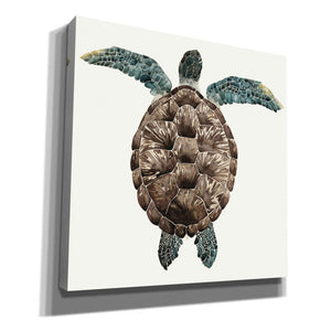'Mosaic Turtle I' by Grace Popp, Canvas Wall Art