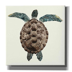 'Mosaic Turtle I' by Grace Popp, Canvas Wall Art