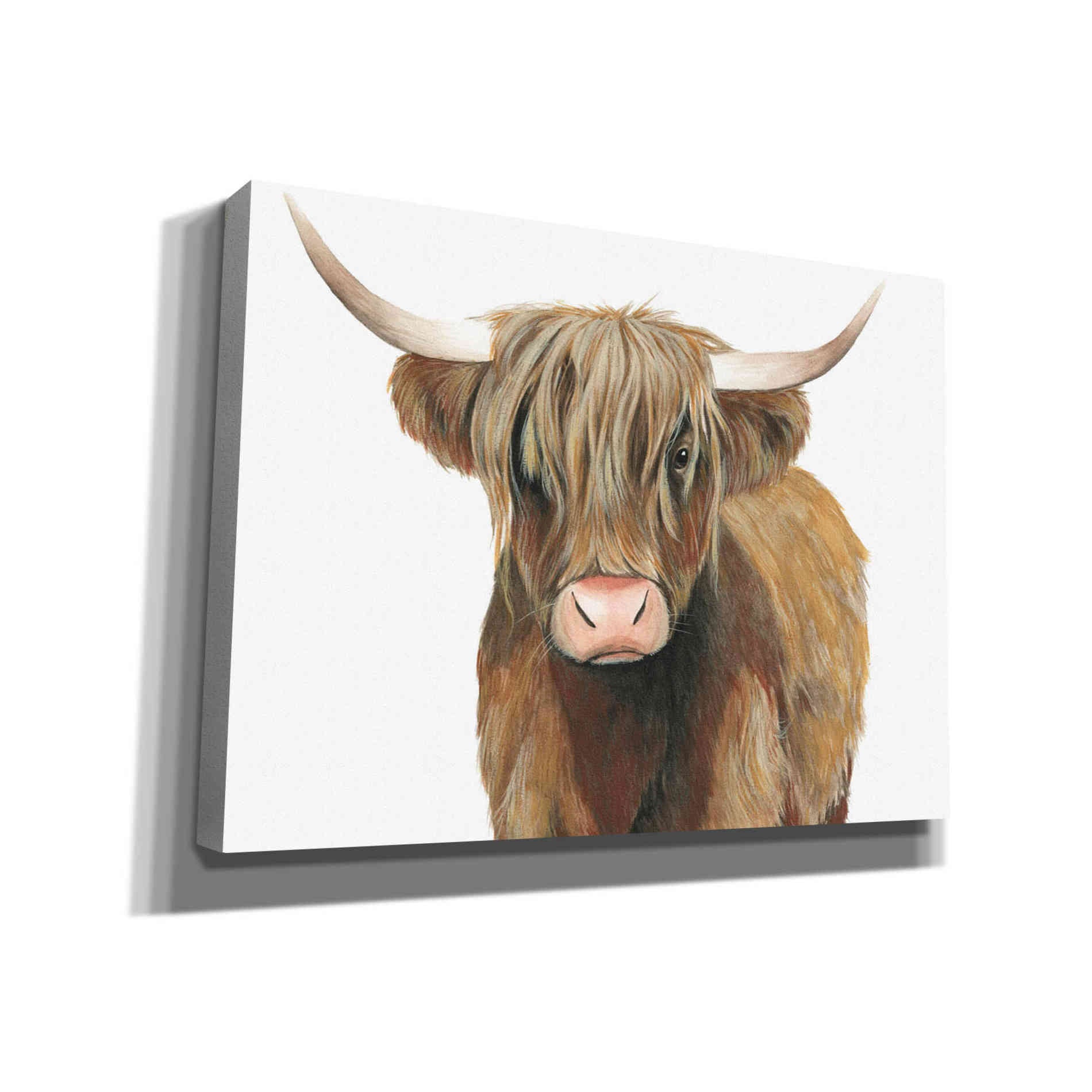 'Highland Cattle II' by Grace Popp, Canvas Wall Art