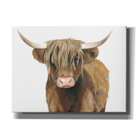 Image of 'Highland Cattle II' by Grace Popp, Canvas Wall Art